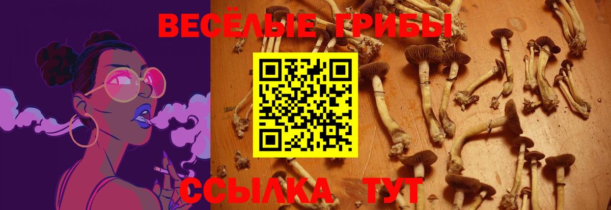 Псилоцибиновые грибы Cubensis Куйбышев